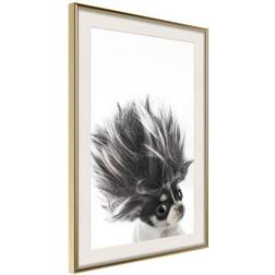 Arkiio Affisch Chihuahua [Poster] 40x60 Poster